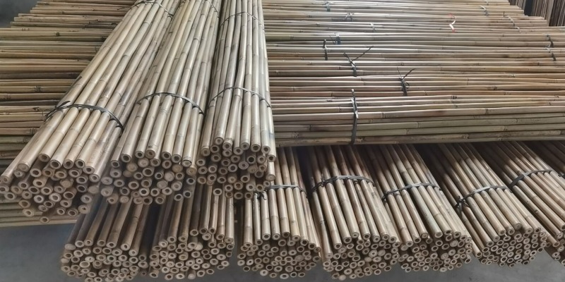 rMIX: Vendiamo le Canne di Bambù Riciclabili in Diverse Misure