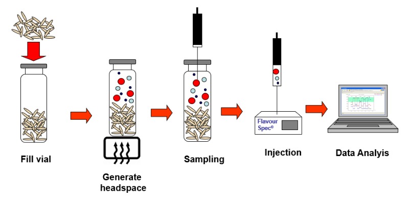 Come Utilizzare la Gas Cromatografia a Mobilità Ionica nella Plastica Riciclata