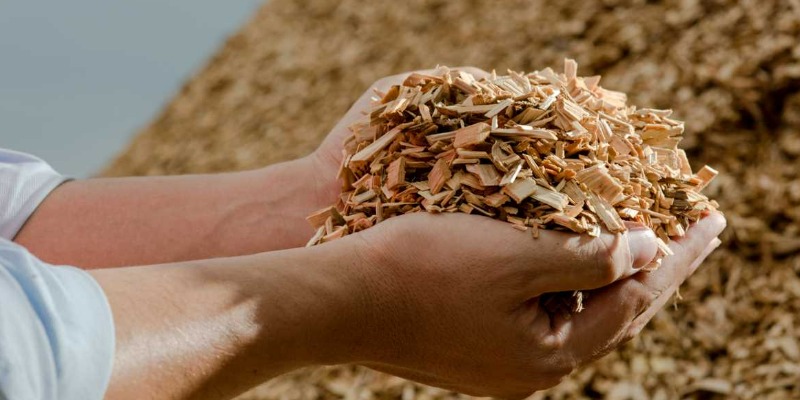 rMIX: Produzione di Biomasse dal Legno per Produrre Energia
